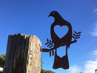 Wood Pigeon  Kereru Metalbird