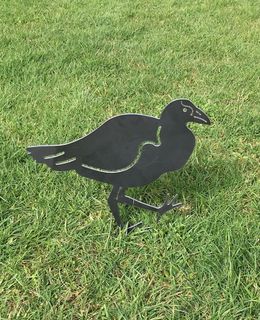 Pukeko
