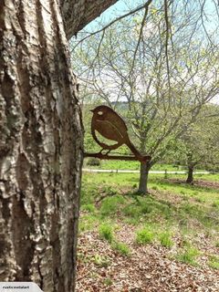 Tomtit or Robin Metalbird