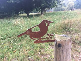 Saddleback Metalbird