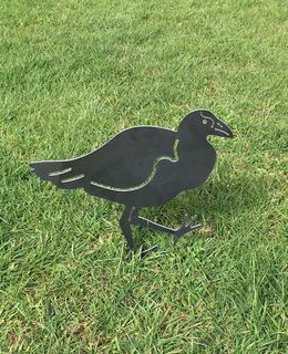 PUKEKO